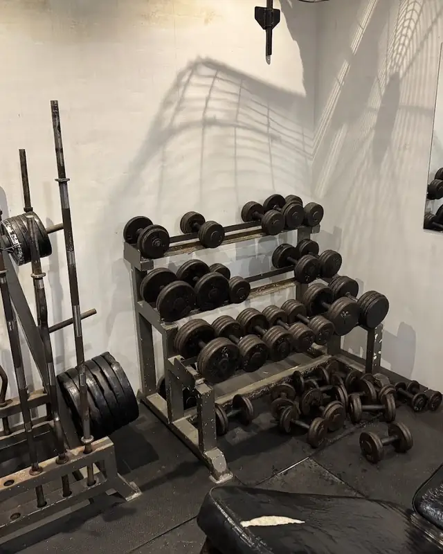 Weight plates and bars